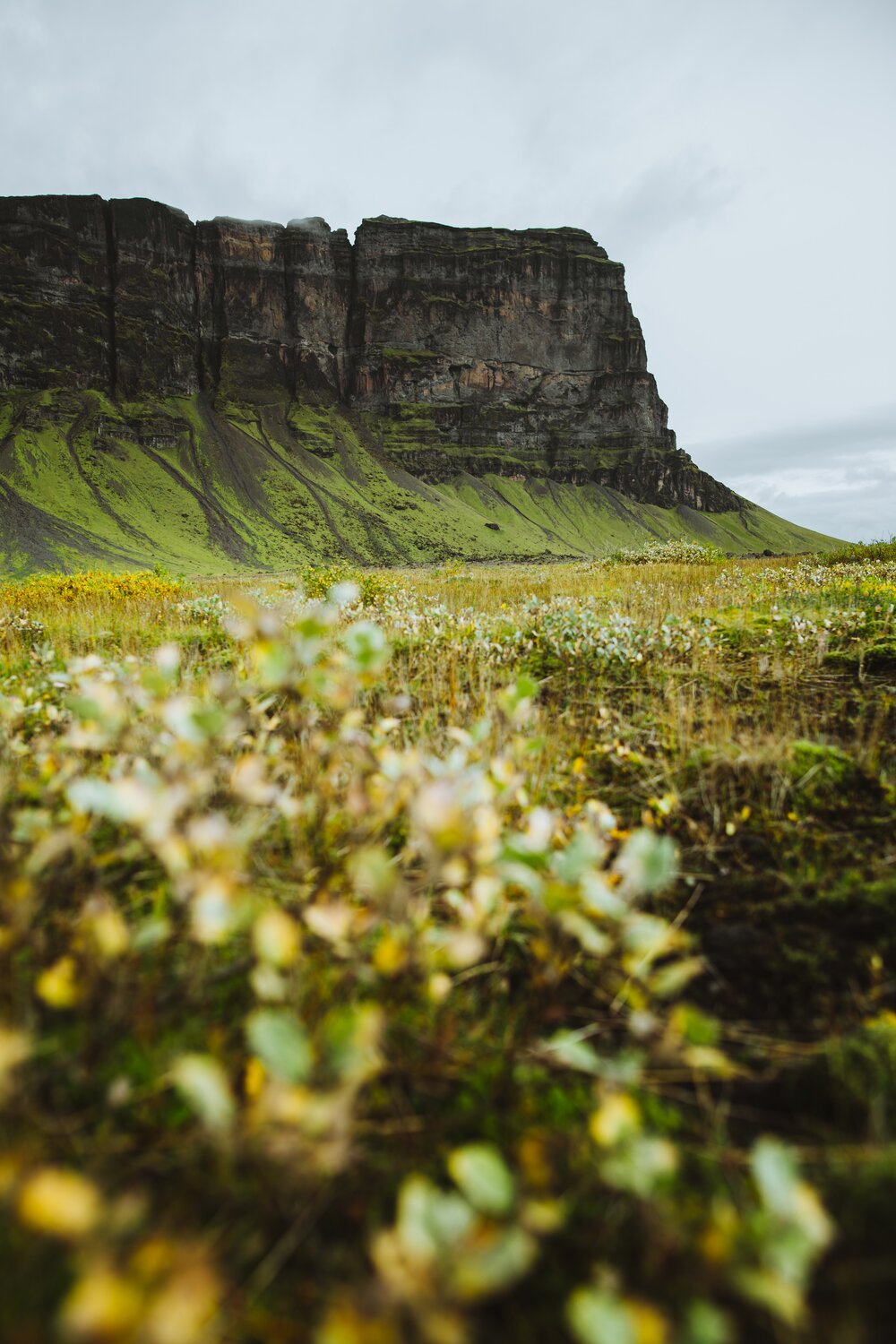 [Foto: Mario Silva/Unsplash]