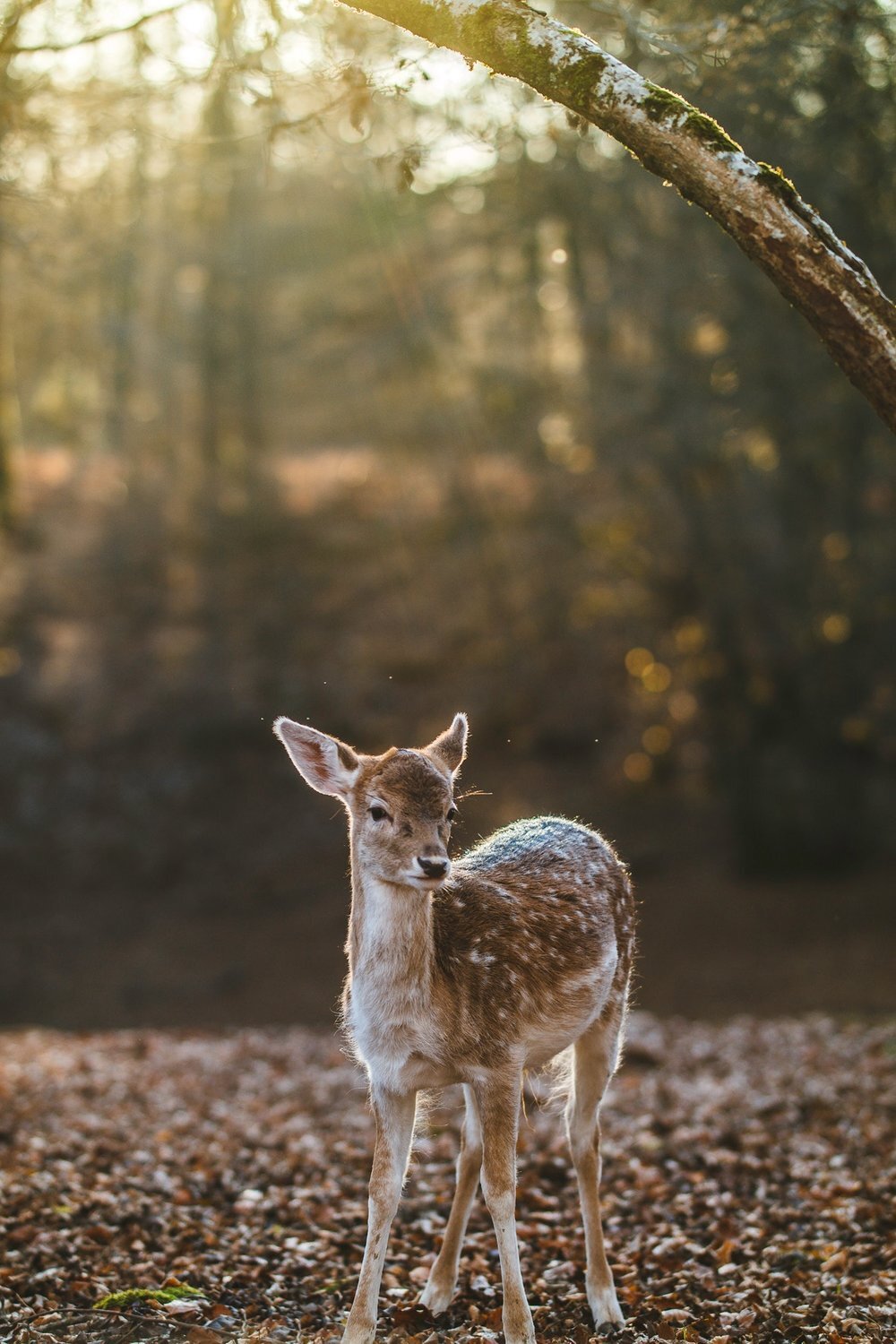 [Foto: Nicomiot Photographies/Unsplash]