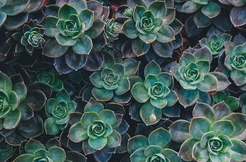 [Foto: Annie Spratt/Unsplash]