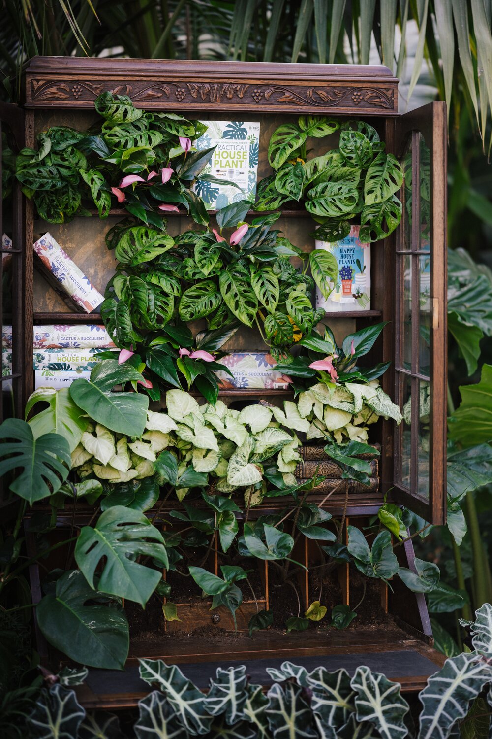 [Photo: Annie Spratt/Unsplash]