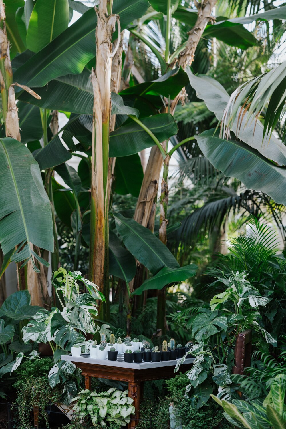 [Photo: Annie Spratt/Unsplash]