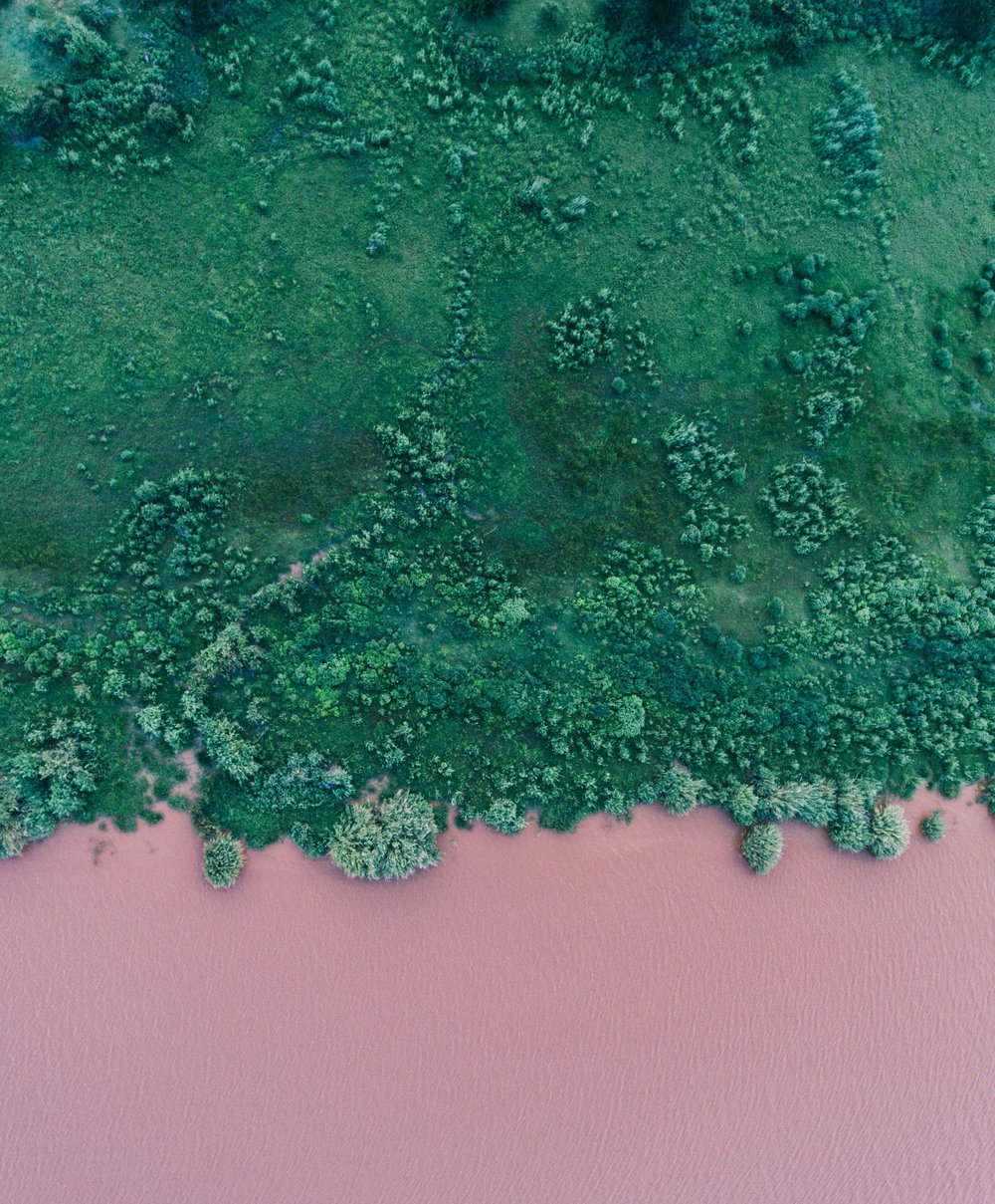 [Foto: Geran de Klerk/Unsplash]