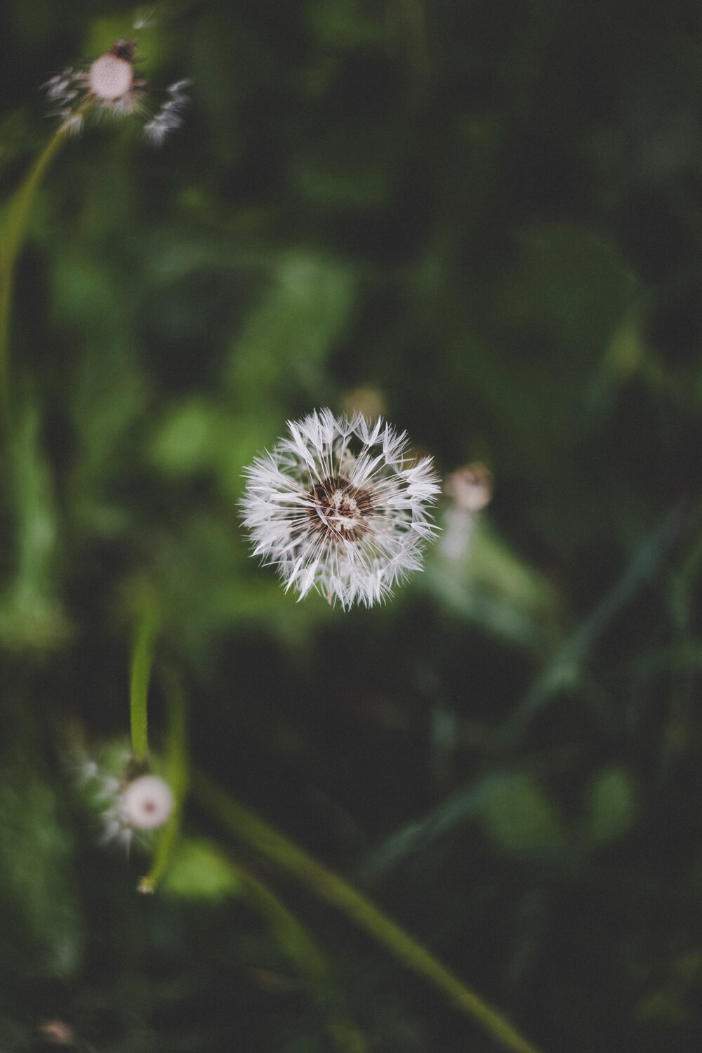 [Foto: Markus Spiske/Unsplash]