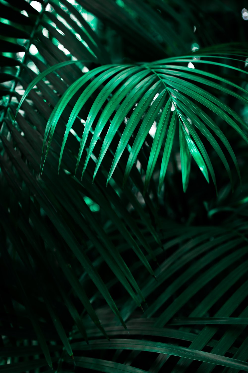 [Photo: Mona Eendra/Unsplash]