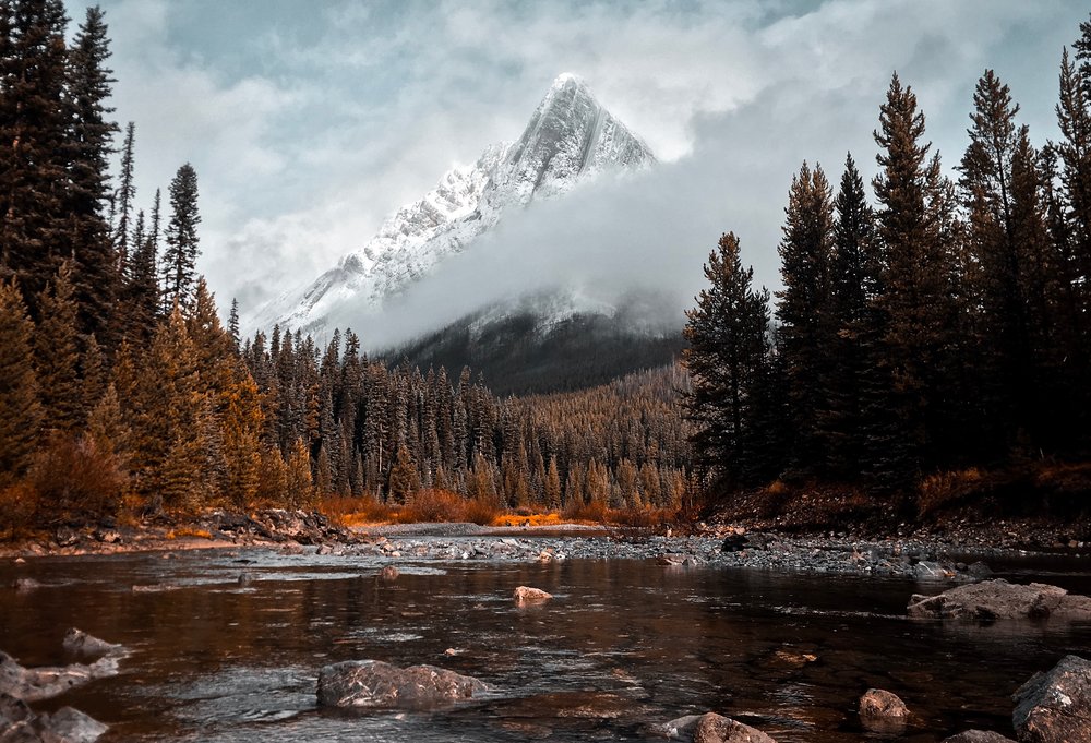 [Photo: Scott Goodwill/Unsplash]