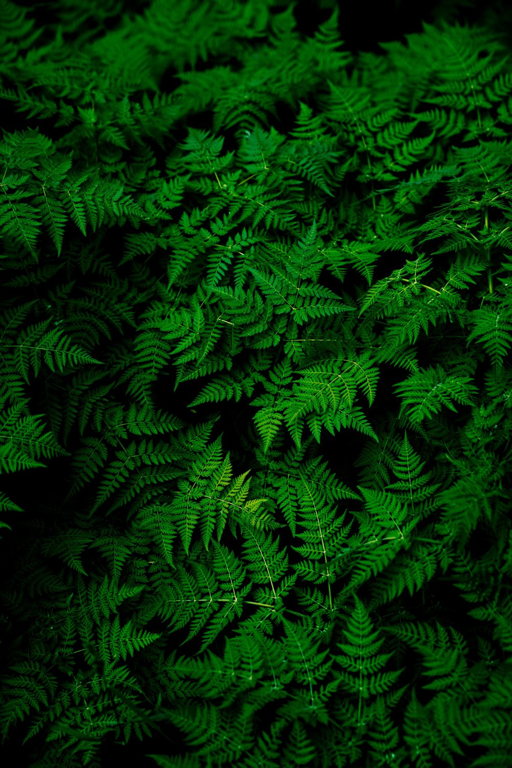 [Photo: Teemu Paananen/Unsplash]
